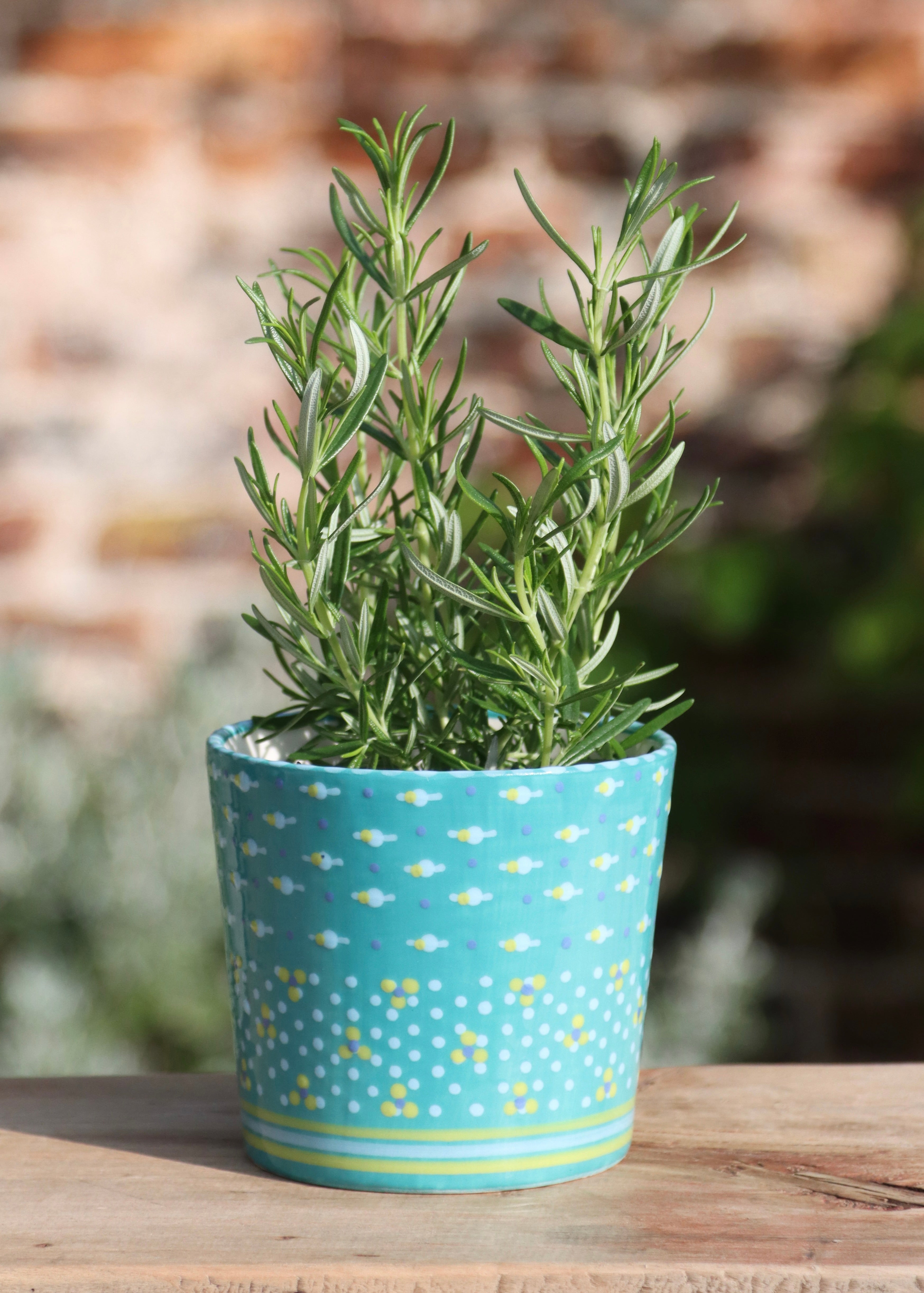 Herb Pot - Jasper
