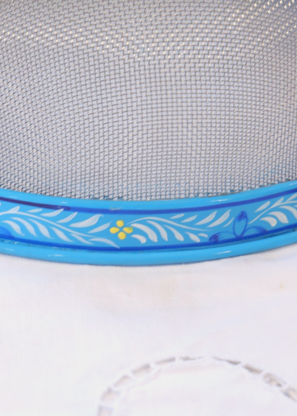 Hand Painted Dome Food Cover- Blue