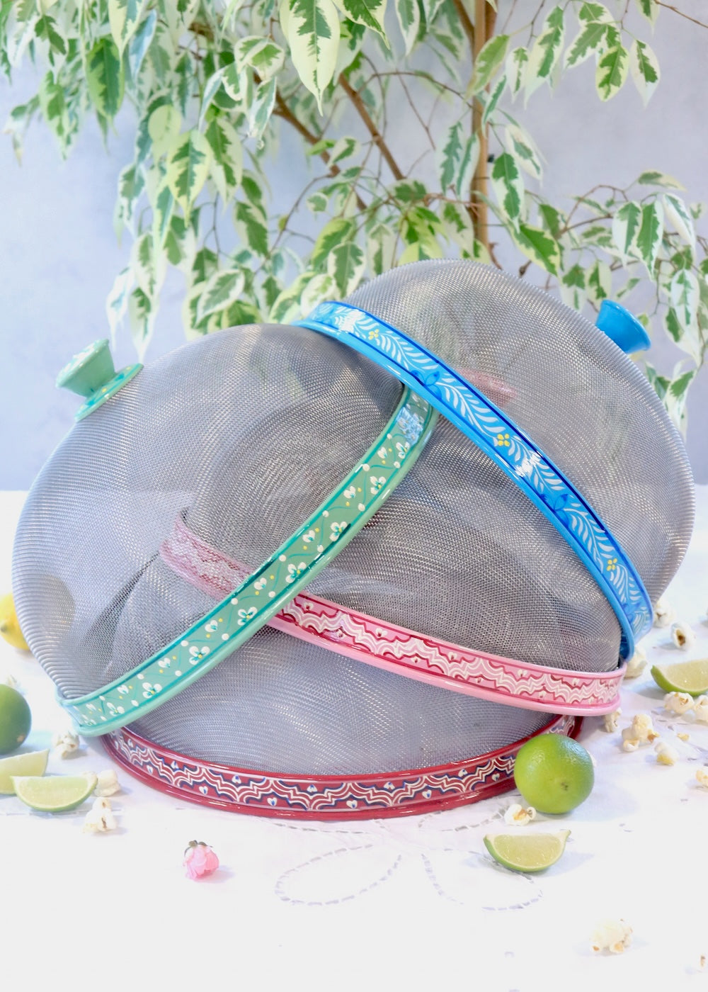 Hand Painted Dome Food Cover- Red