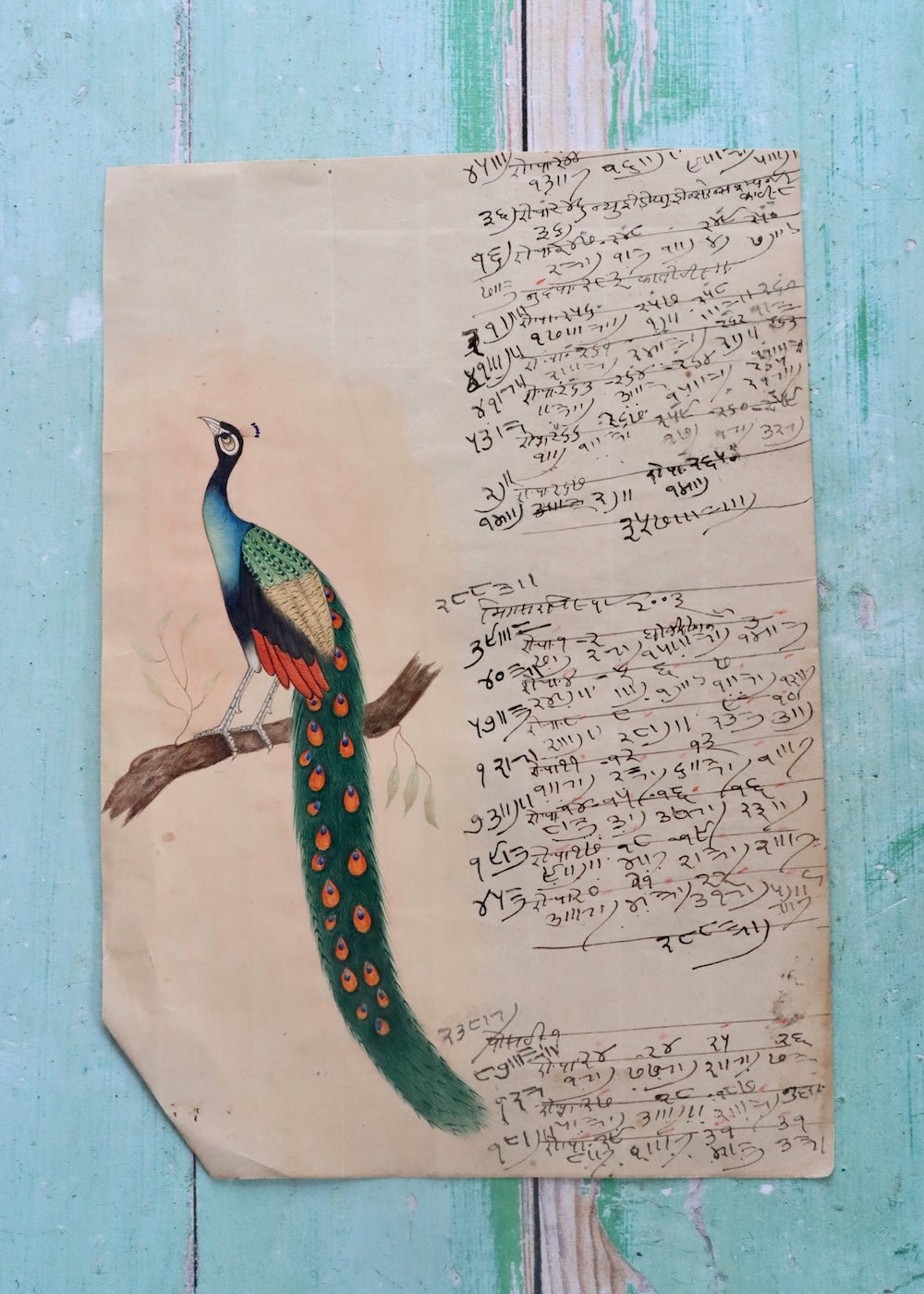 Indian Bird Painting Peacock 14