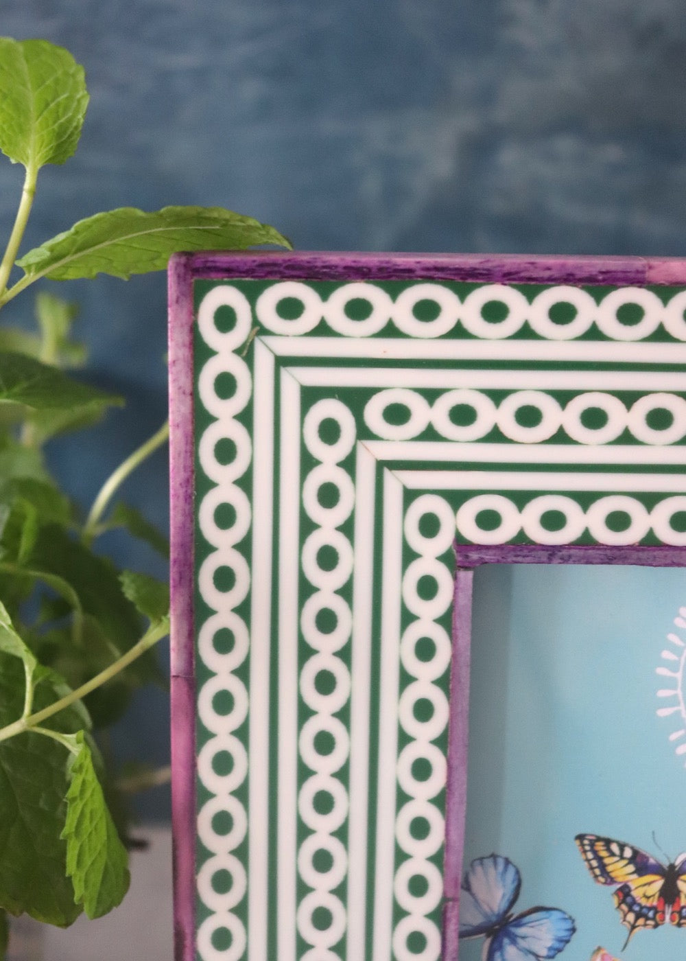 Photo Frame -  Green Circles with Purple Trim