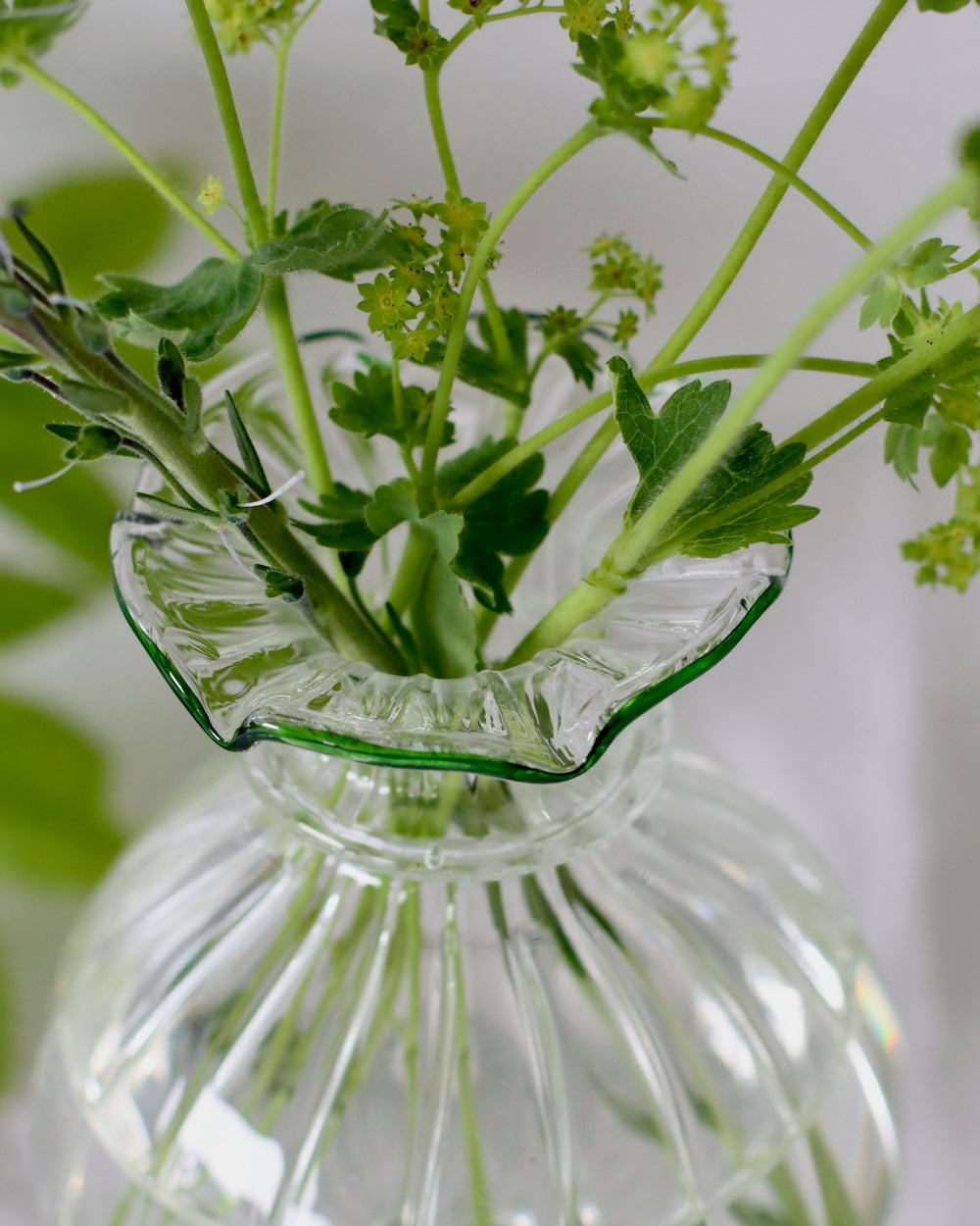 Nanu Glass Vase - Forest Green