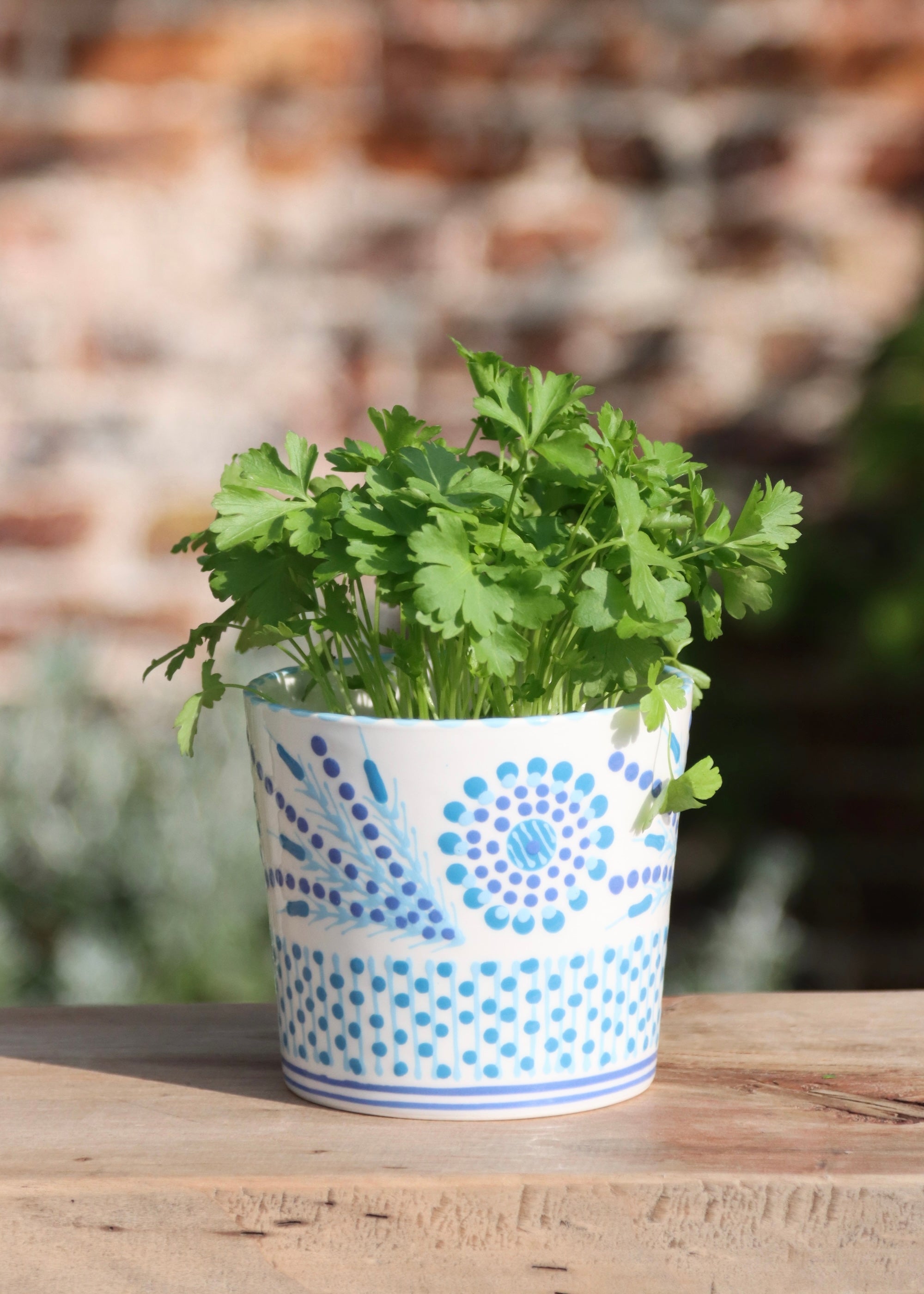 Herb Pot - White and Blue- Big Flower & Fronds