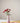 Betty Bud Vase