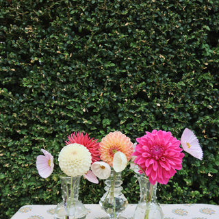 Vases