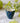 Everyday Egg Cup - 4