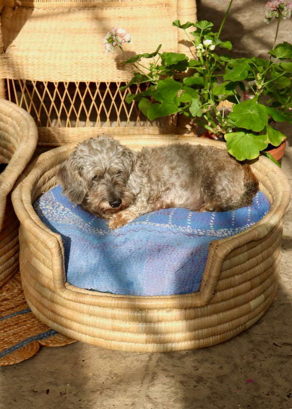 Small Dog Bed