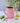 Painted Water Jug - Retro Pink