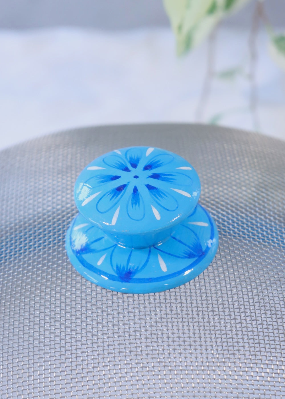 Hand Painted Dome Food Cover- Blue