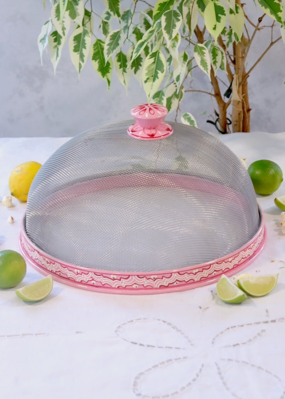 Hand Painted Dome Food Cover- Pink