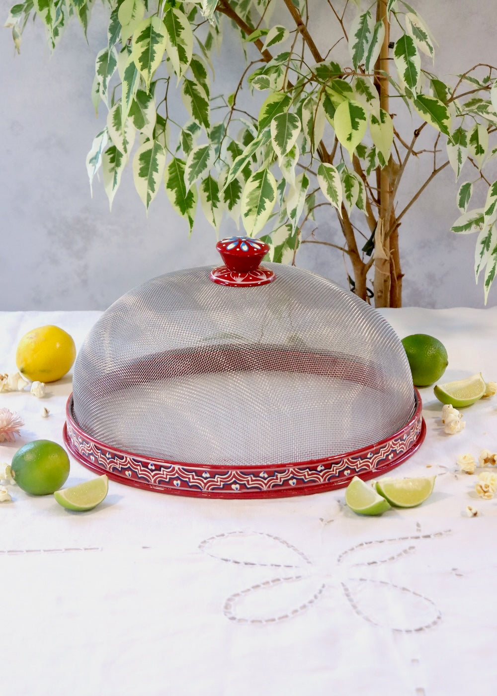 Hand Painted Dome Food Cover- Red