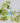Bud Vase - 10