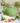 Balfour Salad Bowl NEW COLOUR: Cactus