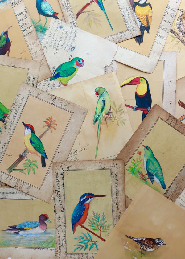 Indian Bird Painting 111