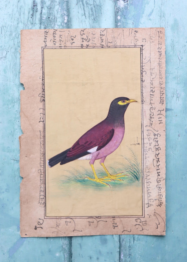 Indian Bird Painting 82