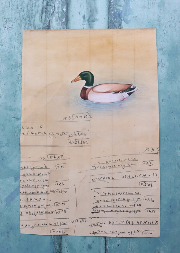 Indian Bird Painting 85