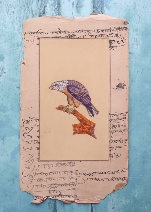 Indian Bird Painting 86