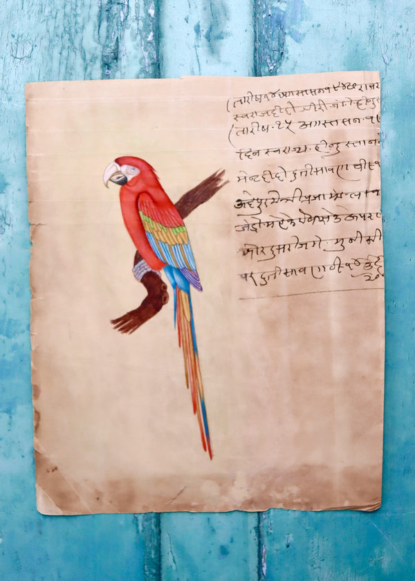Indian Bird Painting 95