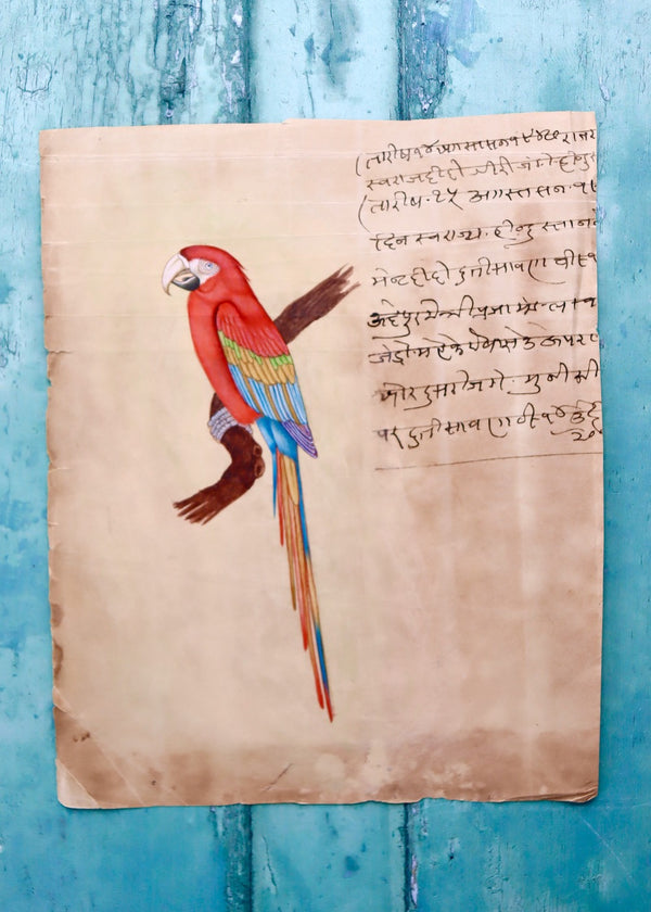Indian Bird Painting 95