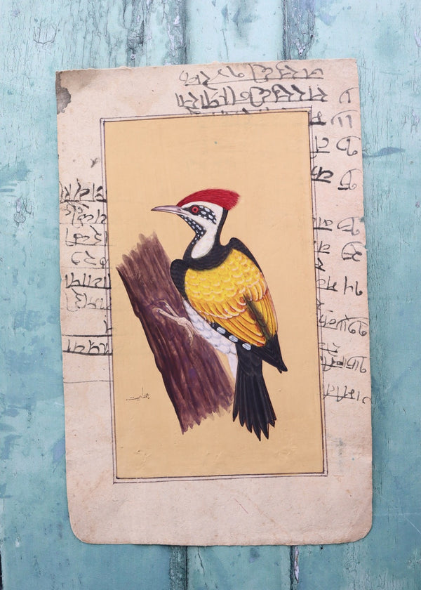 Indian Bird Painting 97