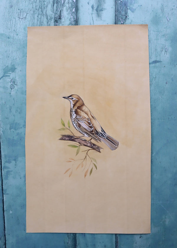 Indian Bird Painting 98