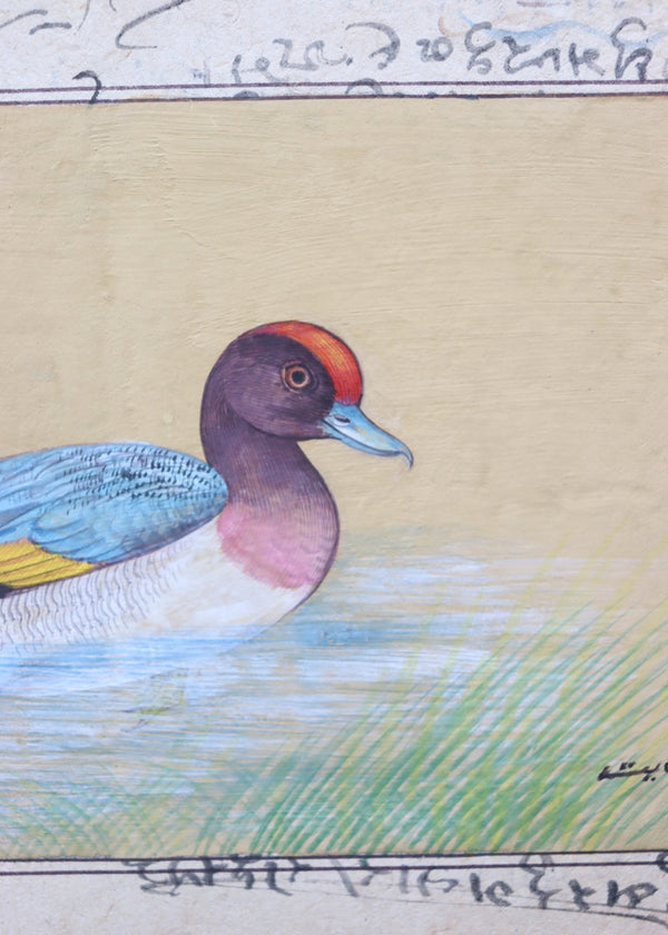 Indian Bird Painting 106
