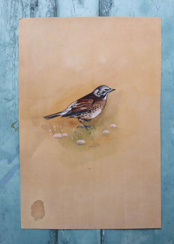 Indian Bird Painting 108