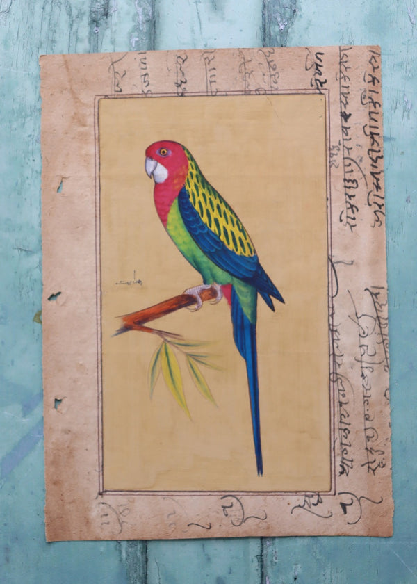 Indian Bird Painting 113