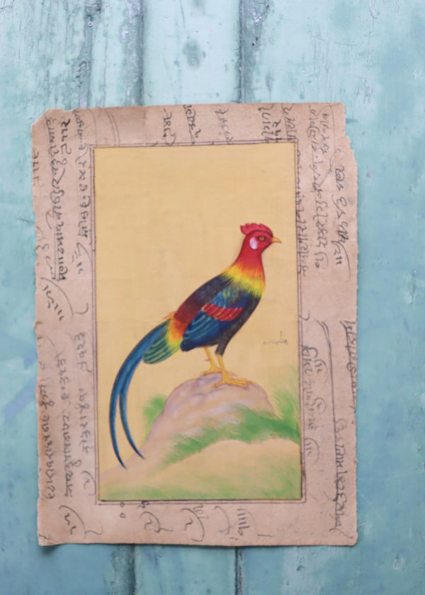 Indian Bird Painting 116