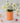 Brush Pot - Tangerine