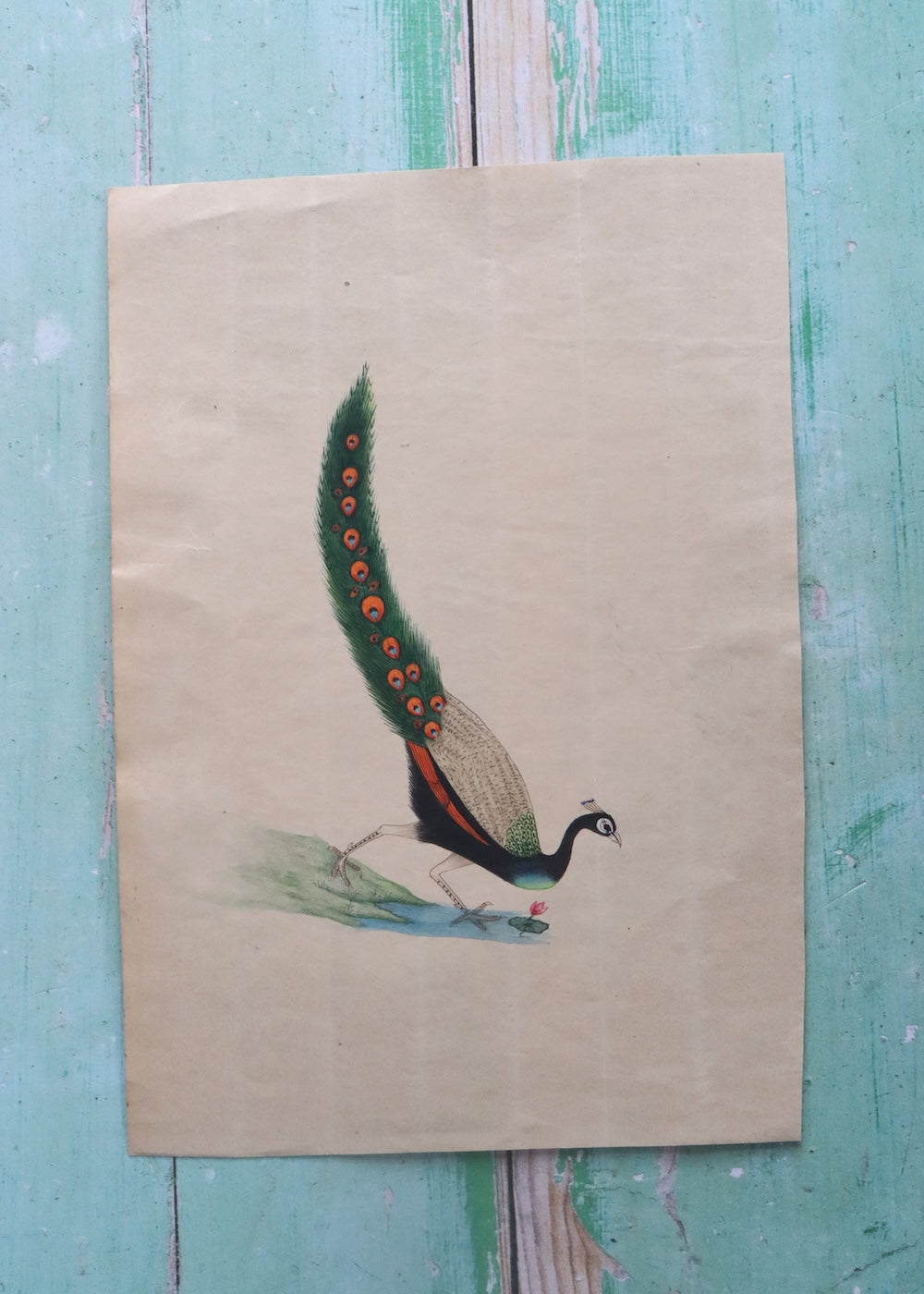Indian Bird Painting Peacock 8