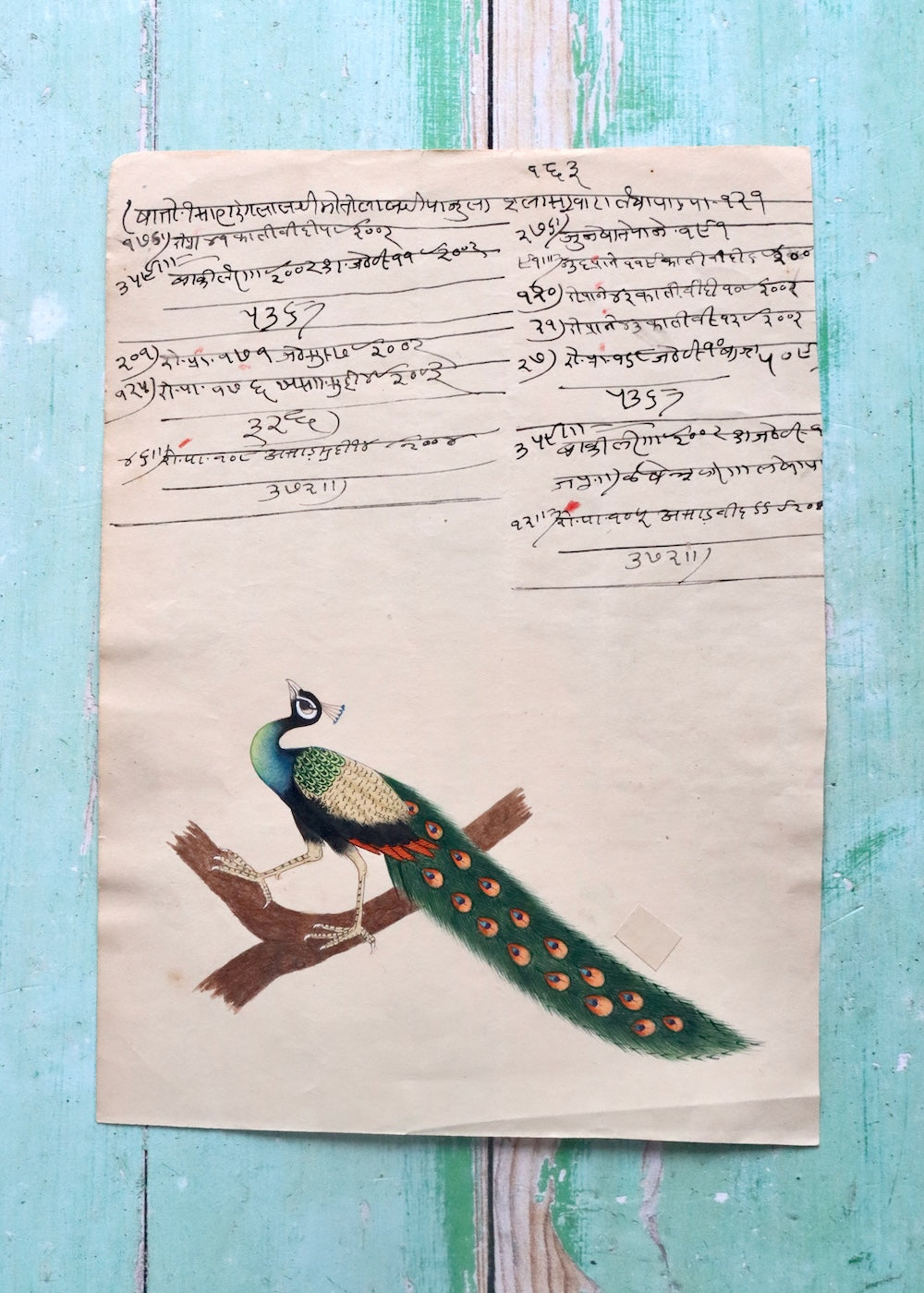 Indian Bird Painting Peacock 9