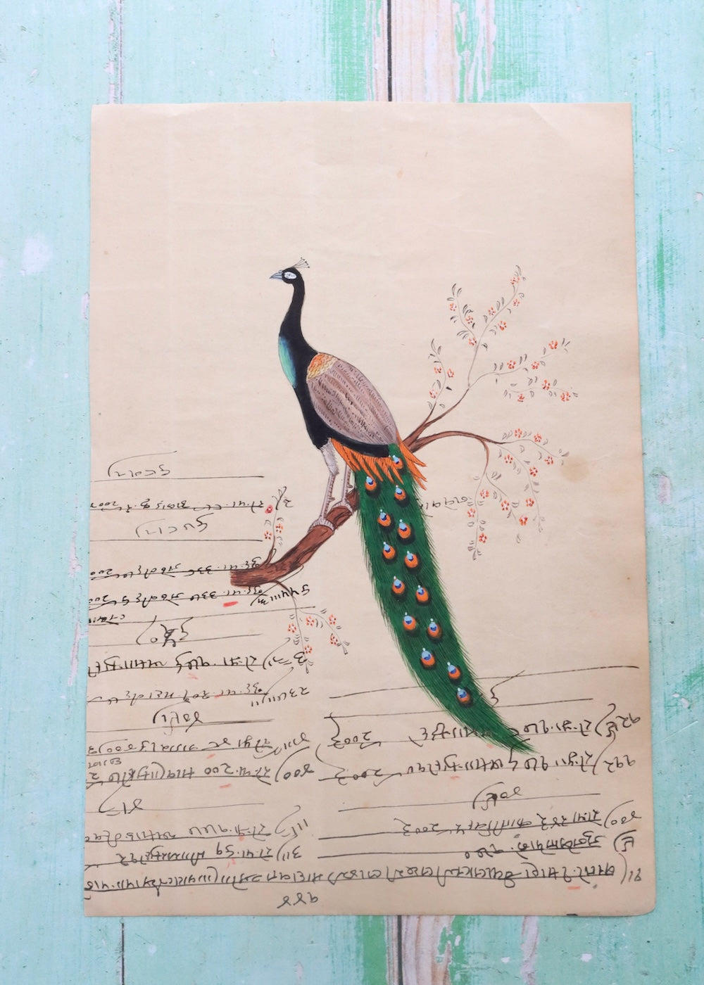 Indian Bird Painting Peacock 12