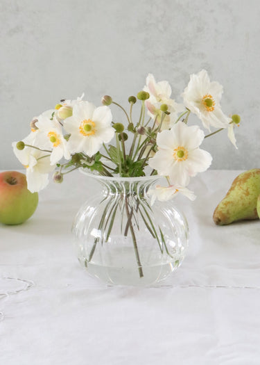 Luna Vase - Gentle White Rim