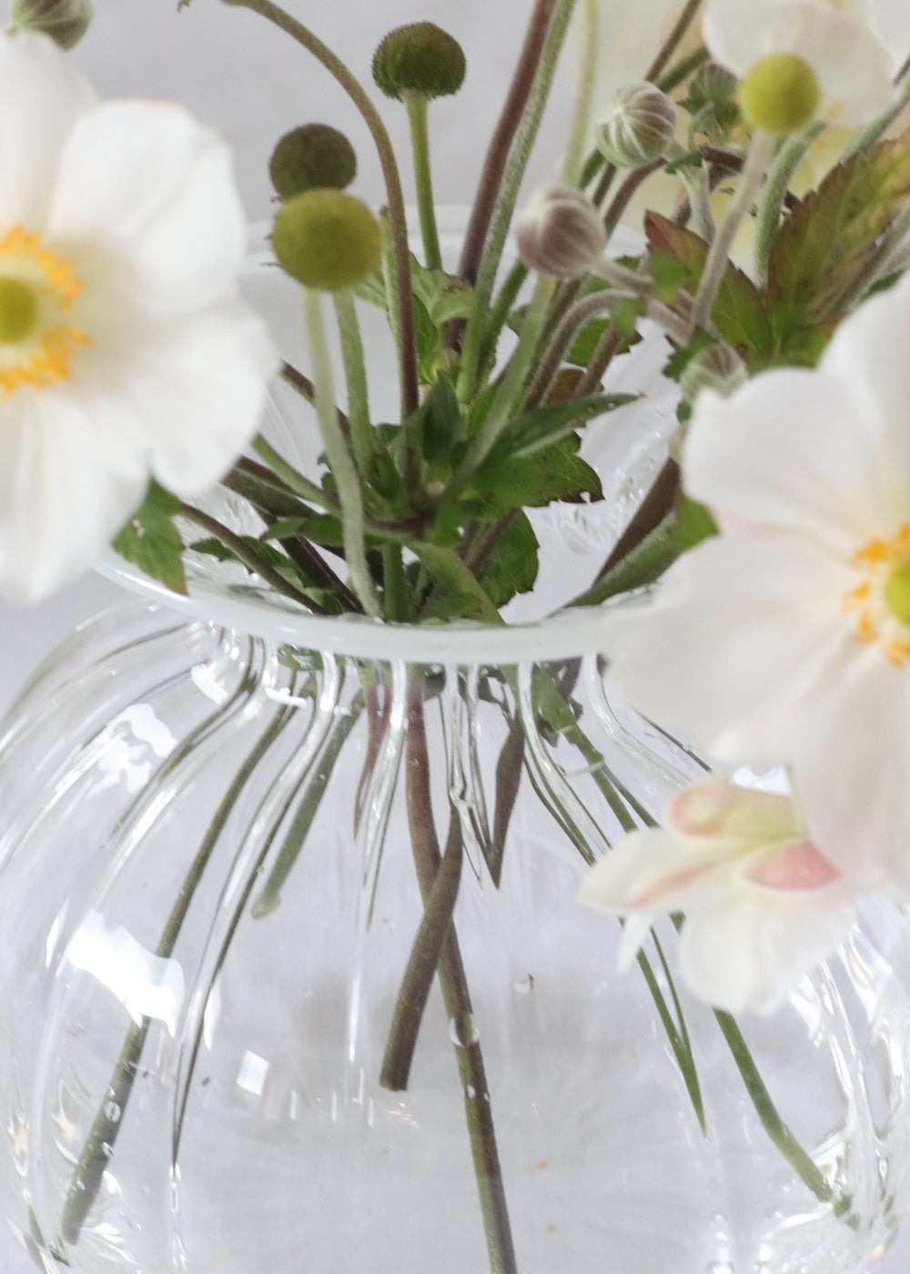 Luna Vase - Gentle White Rim