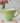 Time for Tea Cup - Lime