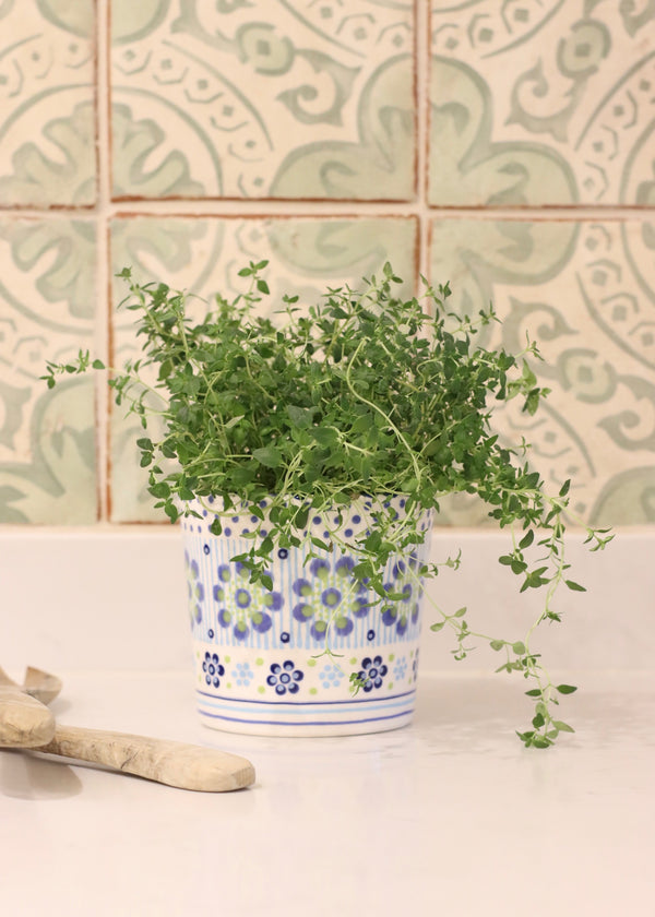 Herb Pot - White with Blue Daisies