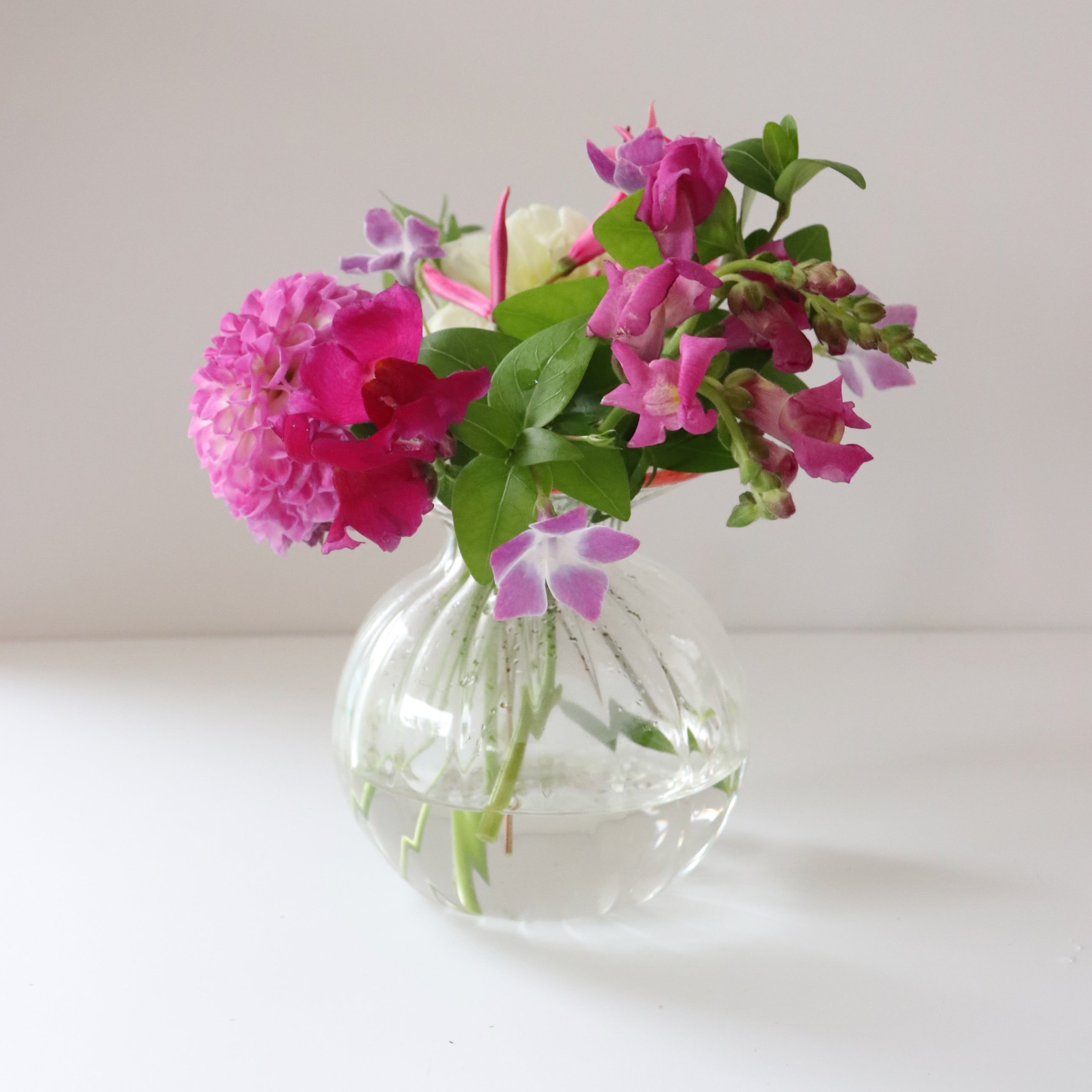 Luna Vase - Pink Rim