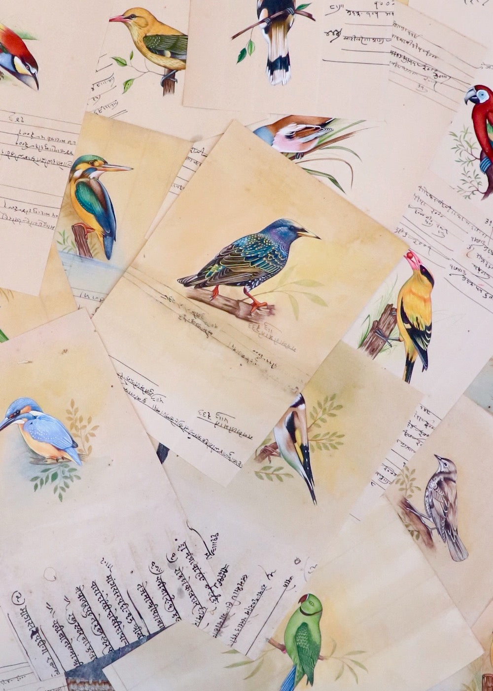 Indian Bird Painting 91