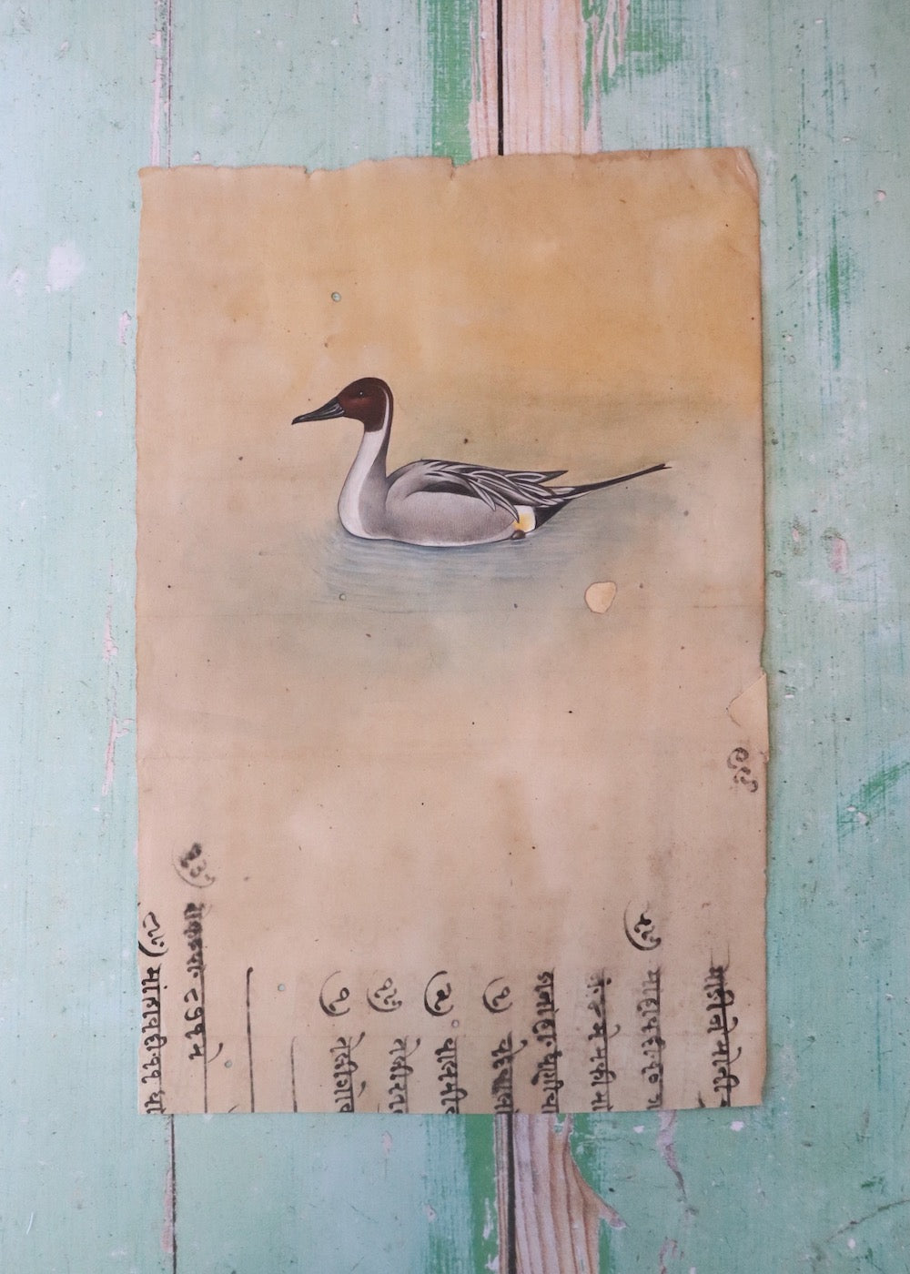 Indian Bird Painting 92