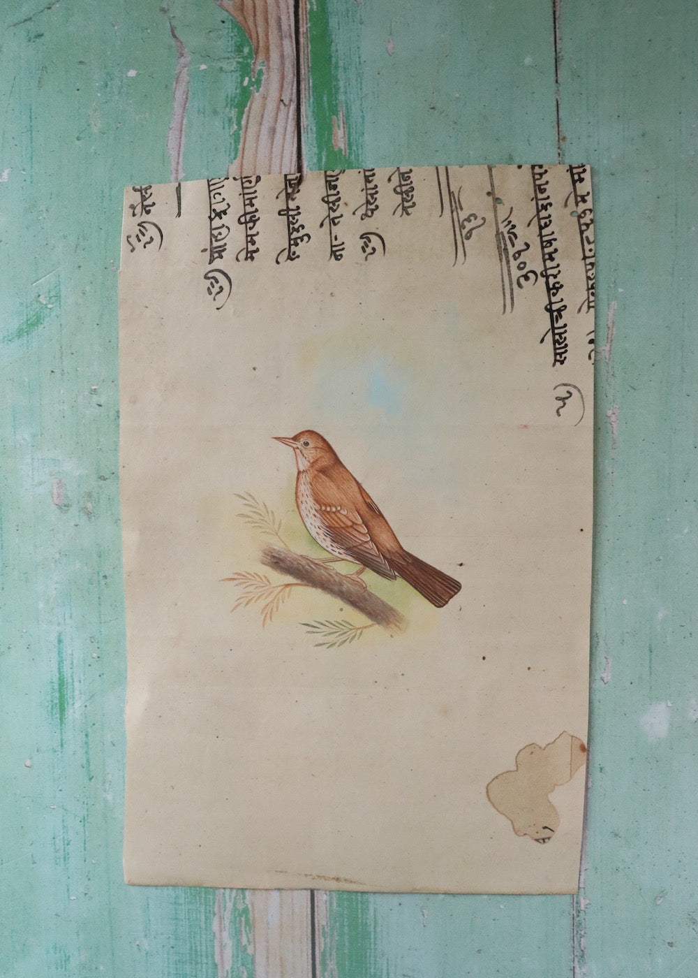 Indian Bird Painting 118