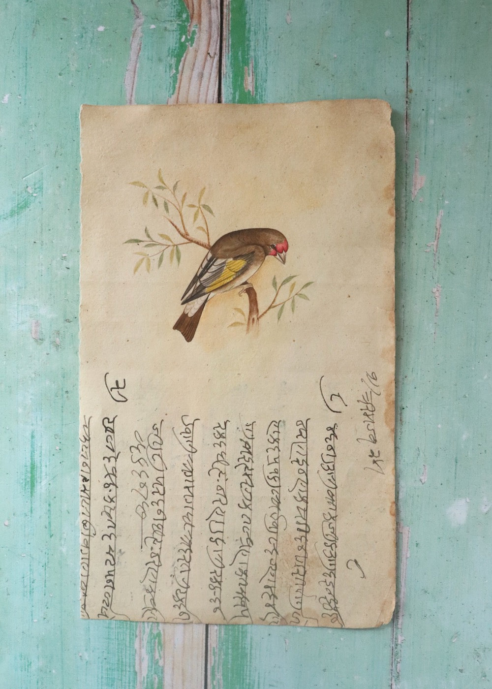 Indian Bird Painting - 123