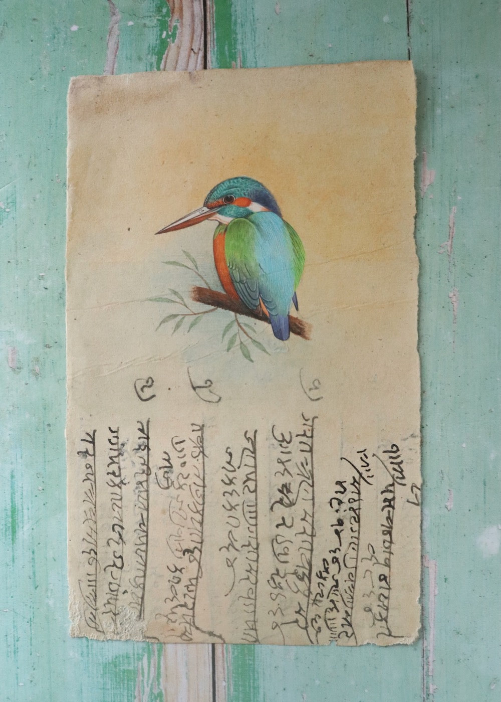 Indian Bird Painting - 125