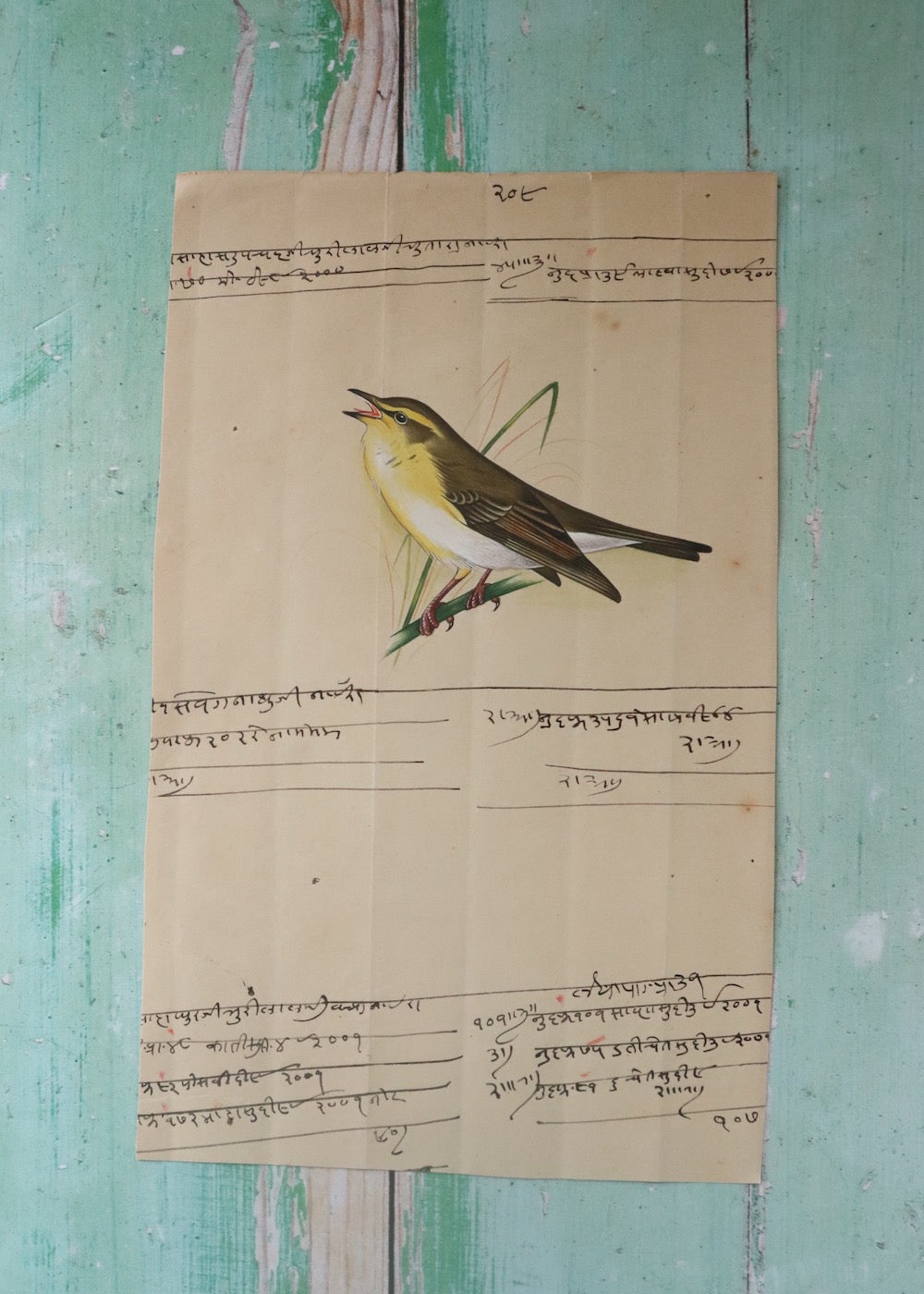 Indian Bird Painting 120