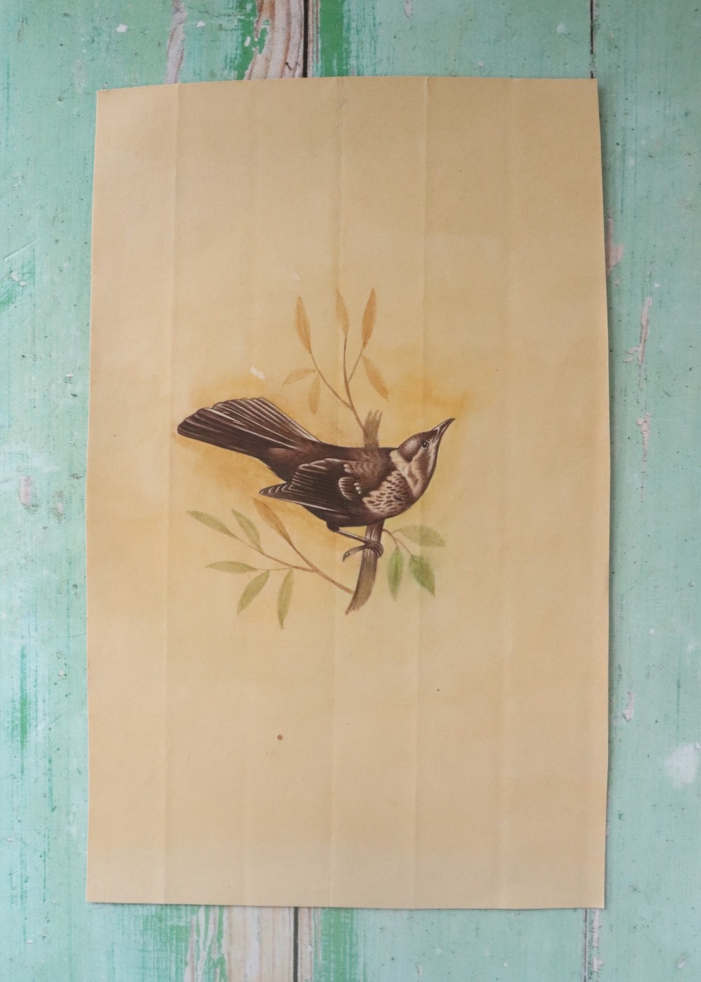 Indian Bird Painting - 124
