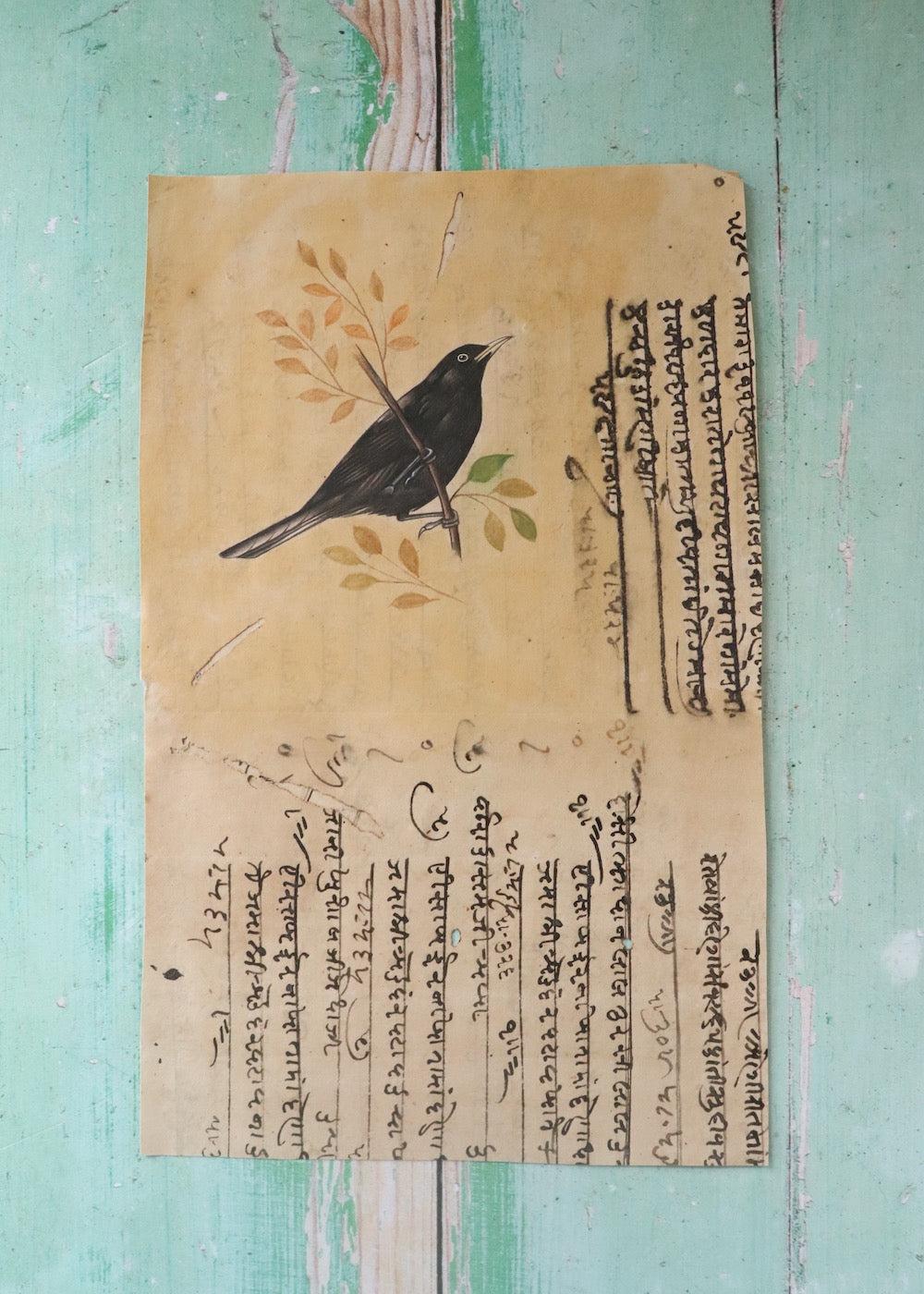Indian Bird Painting - 126