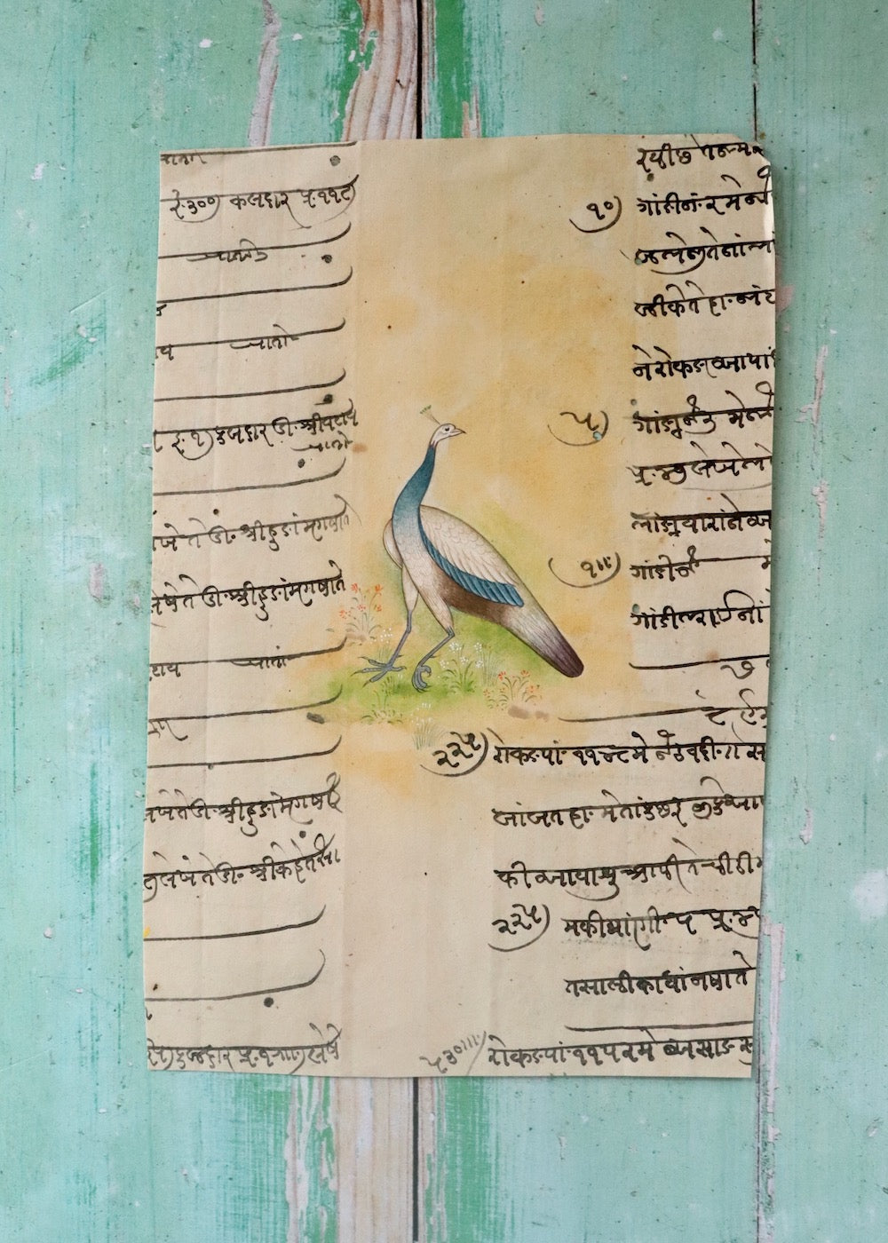Indian Bird Painting - 131