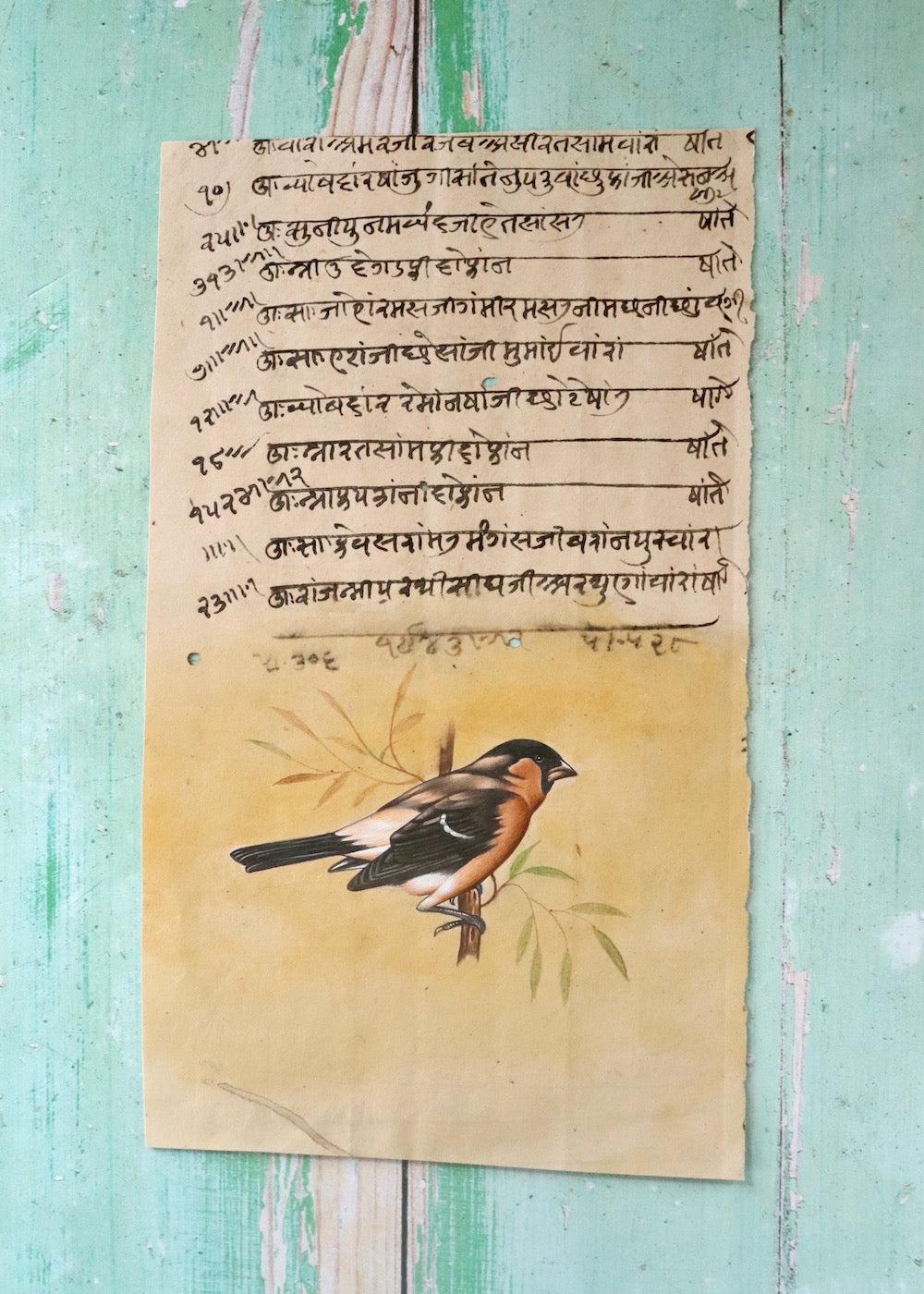 Indian Bird Painting - 133