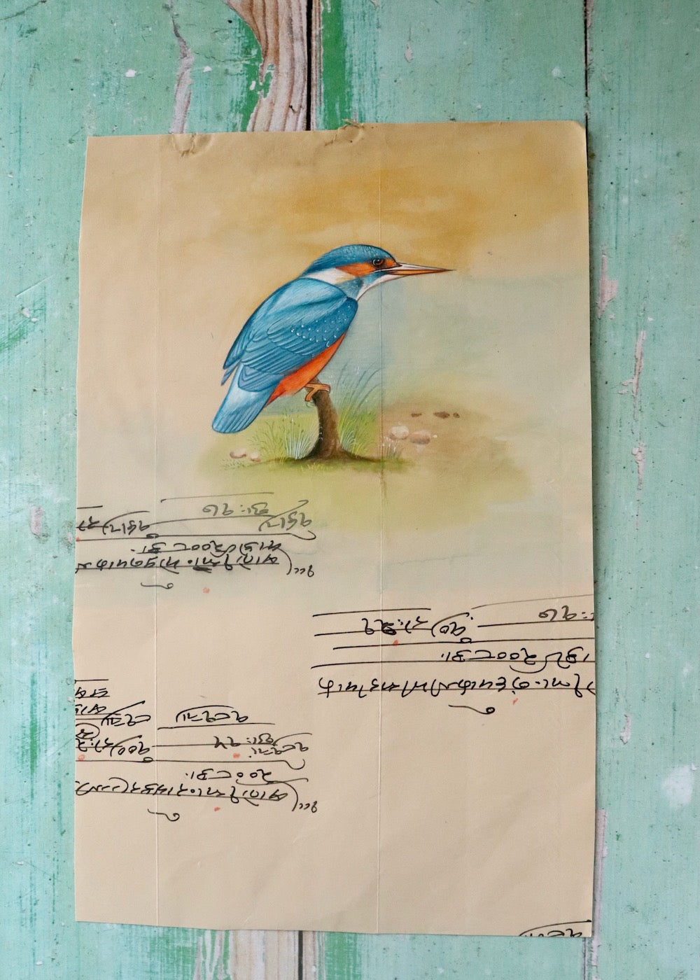 Indian Bird Painting - 135