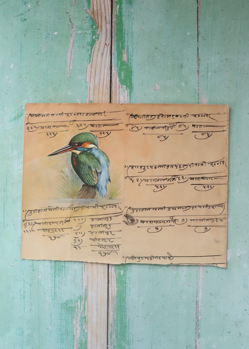 Indian Bird Painting - 136